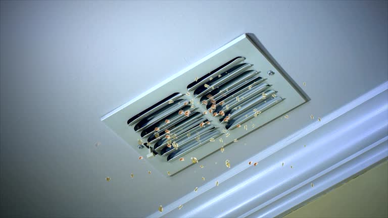 Best Professional Duct Cleaning Services  in Mercersburg, PA